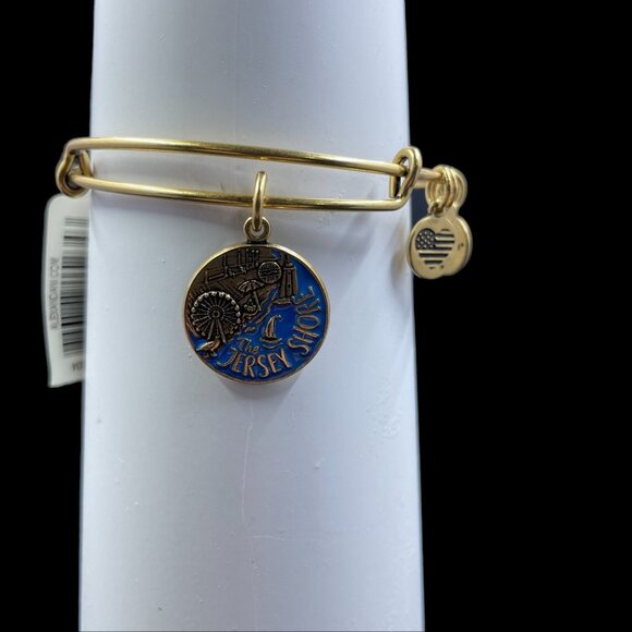 Alex And Ani Jersey Shore Bangle Bracelet Beach Coastal Nautical Summer NWT - Picture 2 of 10